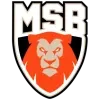 Le Mans Sarthe Basket Le Mans Sarthe Basket logo
